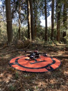 GSAとして初となるDeep Forestryドローンの国内森林内自律飛行を実施しました